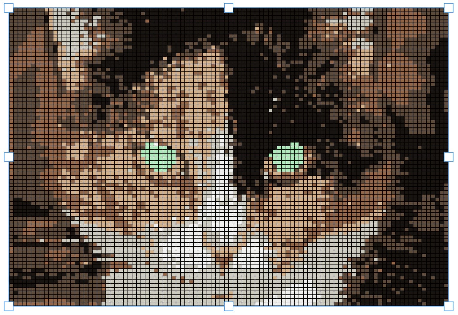 The cat photo scanned into a colourwork chart